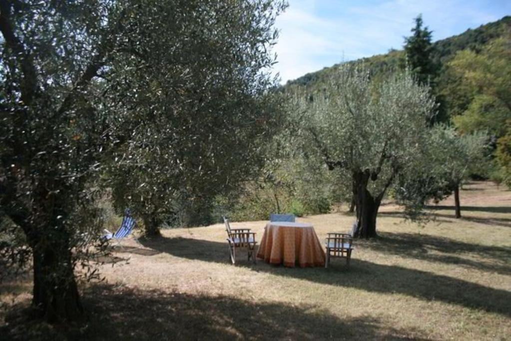 Podere Gli Oppi Toscana Villa Petroio Exteriör bild